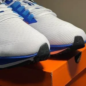 Nike | Shoes | Nike Air Zoom Pegasus 38 Brs Blue Ribbon 